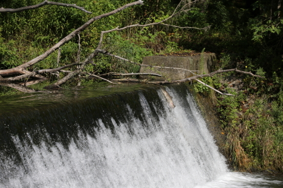 d0262476_16252285.jpg