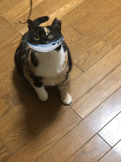 ツアー準備は入念に_e0355177_07314671.jpg