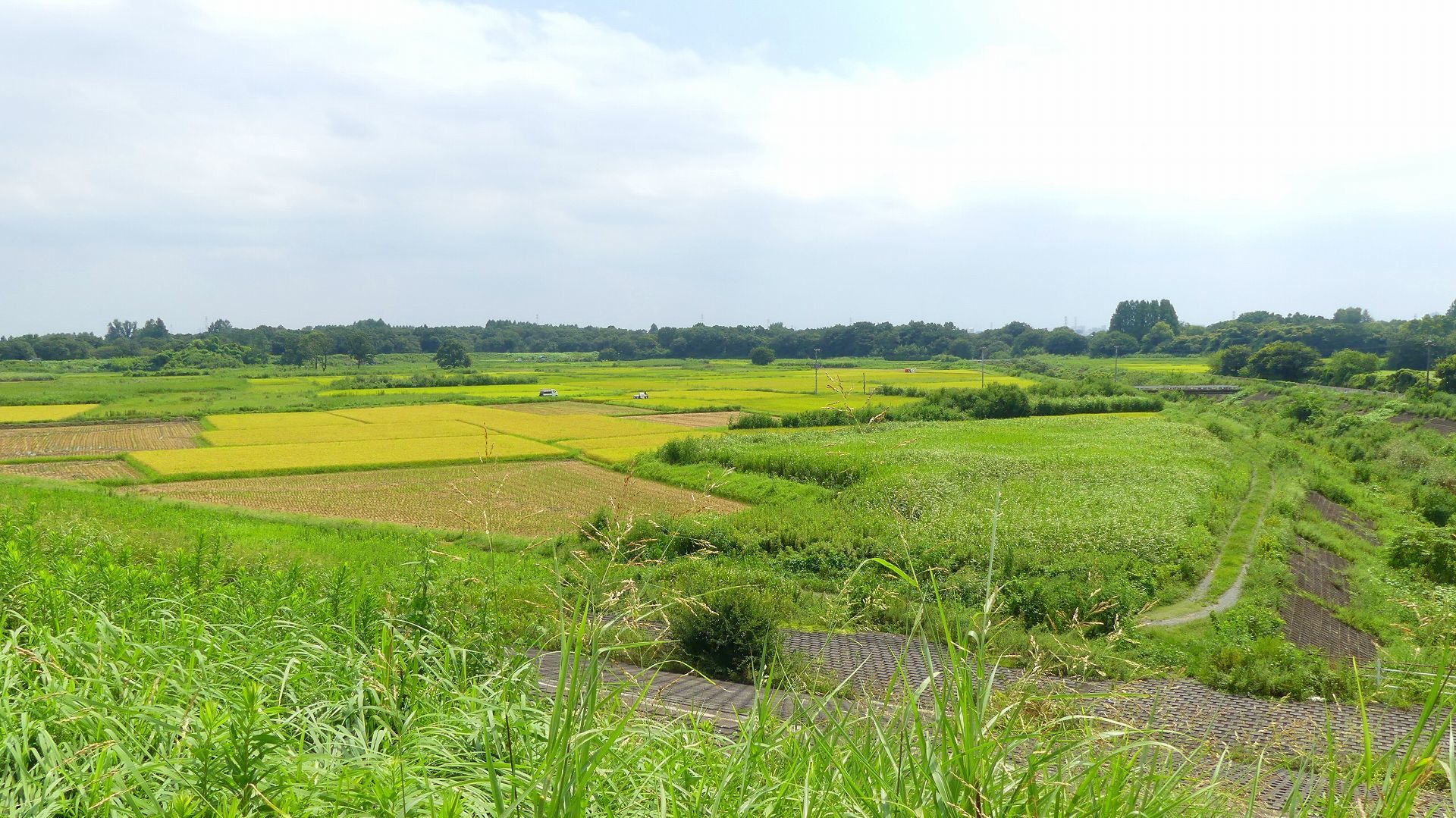 a0185081_14402815.jpg