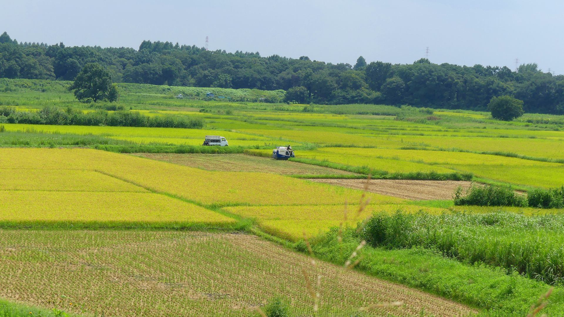 a0185081_14404577.jpg