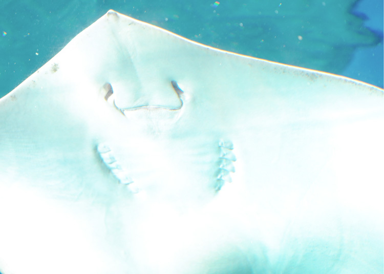 e0156083_14334458.jpg
