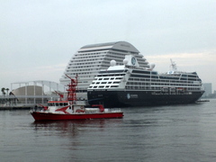 b0192588_9514167.jpg