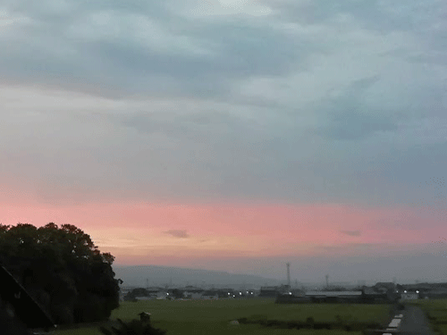 e0246788_10153334.gif