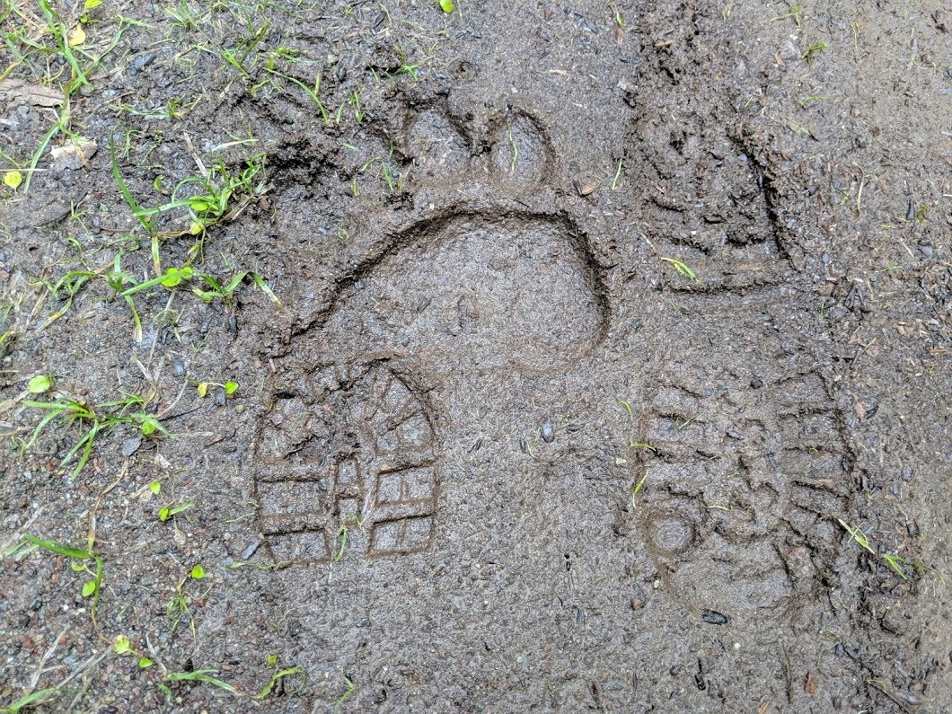 あざびゅ~ (見方を変えれば)「♯1 幌尻岳」_d0198793_10104522.jpg