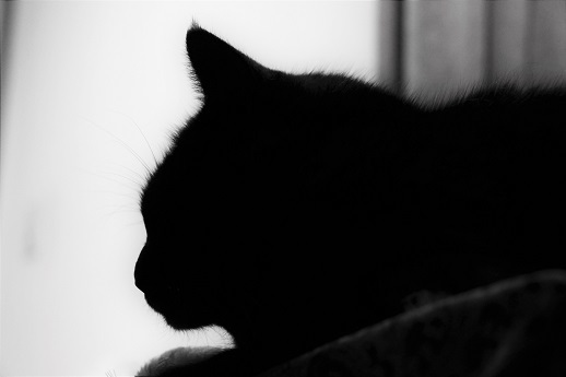 トホホのホ_a0333195_21245101.jpg