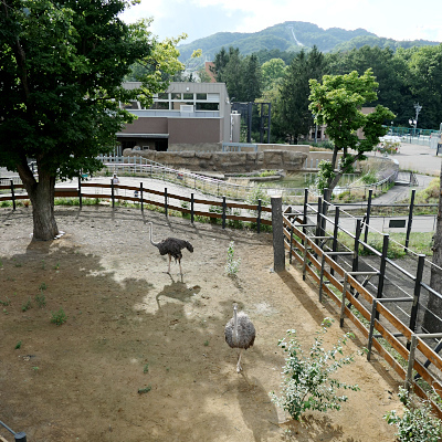 artigana-gのSAPPORO・166_b0055196_14363552.jpg