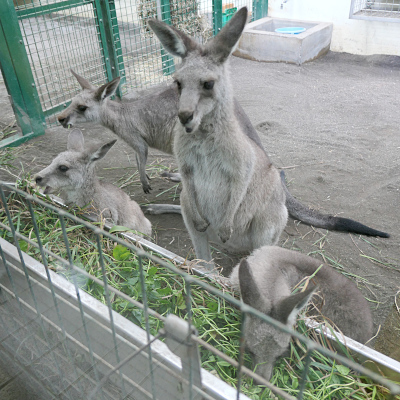 artigana-gのSAPPORO・166_b0055196_14370605.jpg