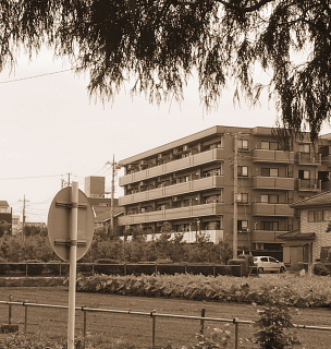 現場調査_c0039501_19493432.jpeg