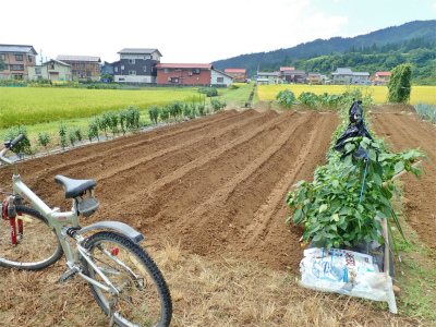 兼業農家は近所のお手伝い作業_c0336902_14114878.jpg