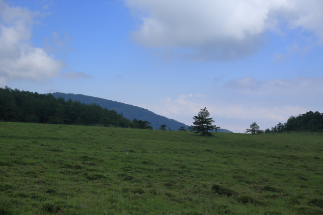 a0357206_20024376.jpg