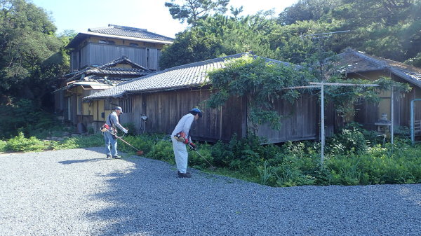 和歌の浦ガイダンス施設草刈りボランティア_c0367107_12341275.jpg