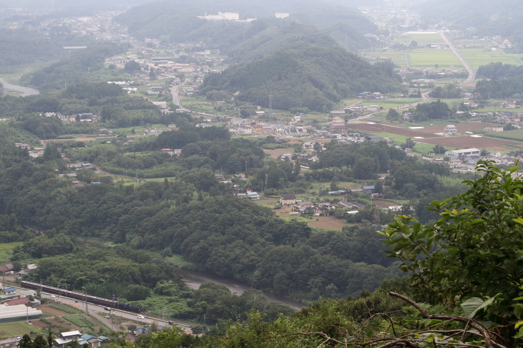 緑色々 - 2019年残暑・秩父鉄道 -_b0190710_22543191.jpg