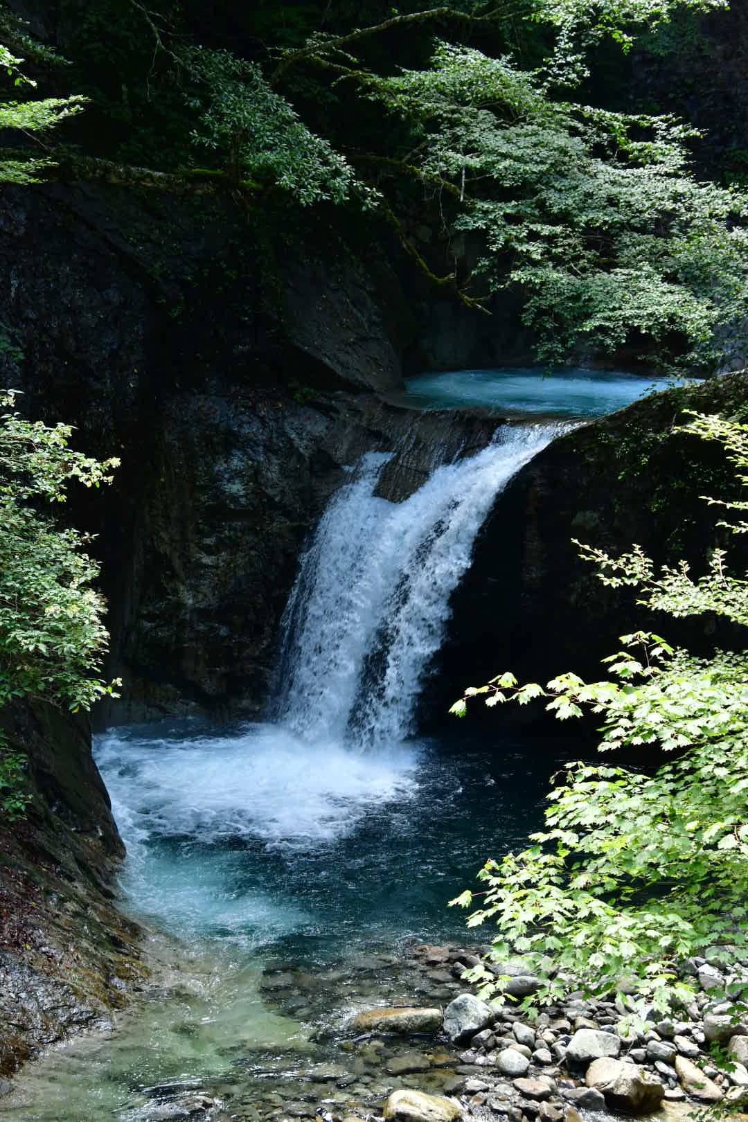 西の沢の渓谷へ その2 Sauntering