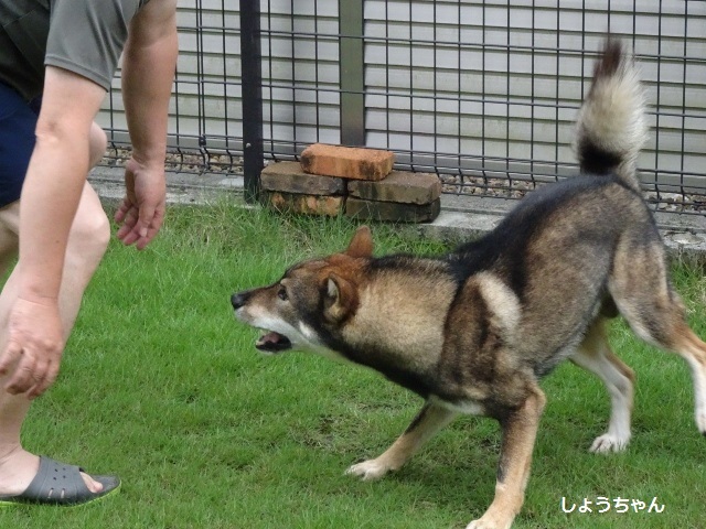 f0143123_11364651.jpg