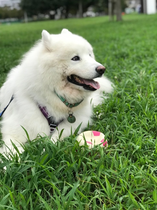 f0234023_06325625.jpeg