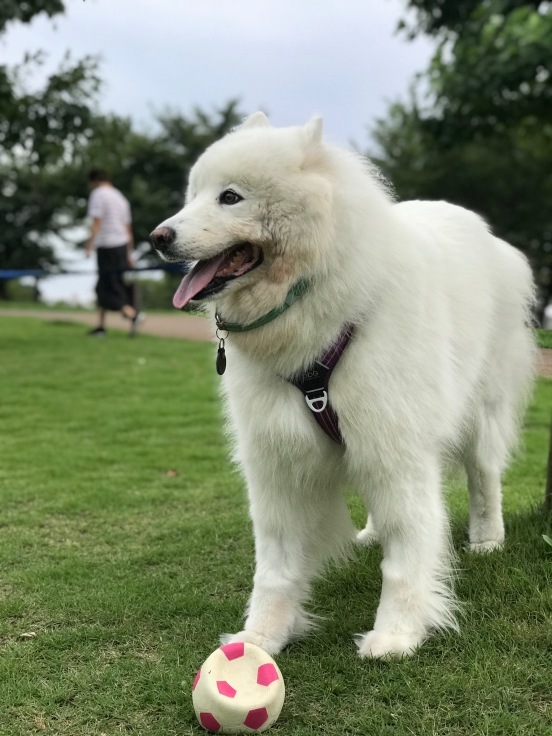 f0234023_07155457.jpeg