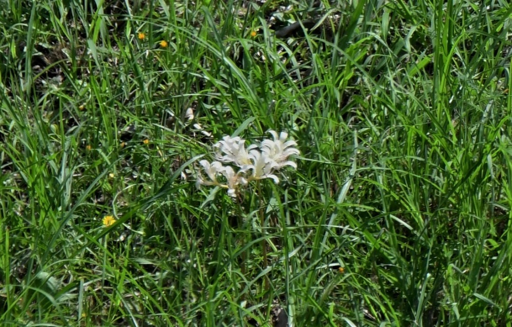 b0405327_16374269.jpg