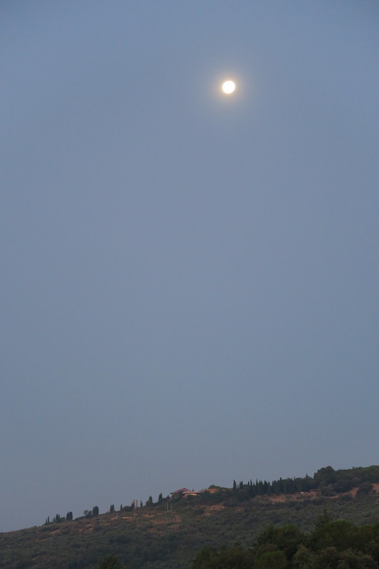 f0234936_6432779.jpg