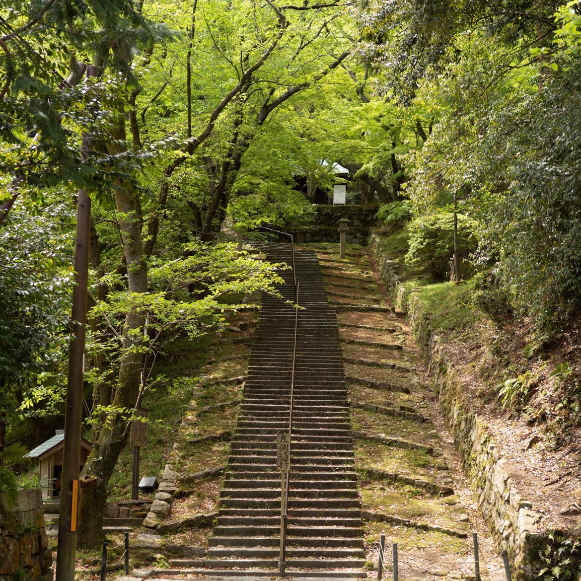 【国宝・重要文化財】　園城寺（三井寺）　建物の説明、訪問記編_b0212342_21340966.jpg