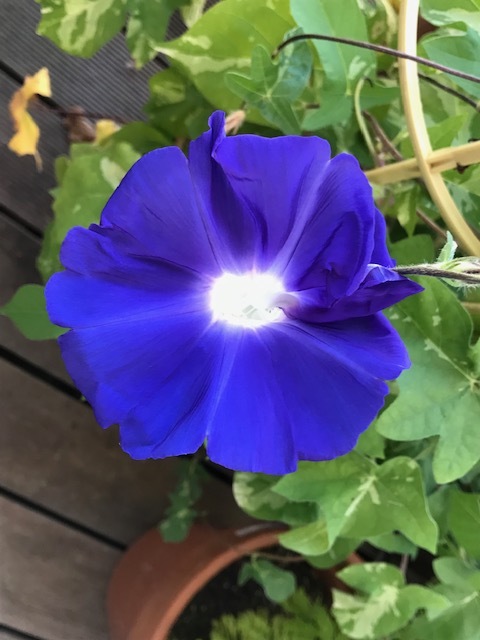 c0343447_08392448.jpg