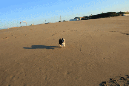 c0145250_15314641.gif