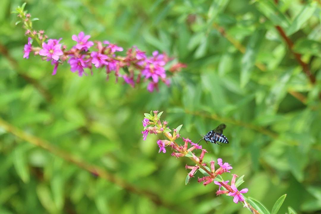 e0403850_10275396.jpg