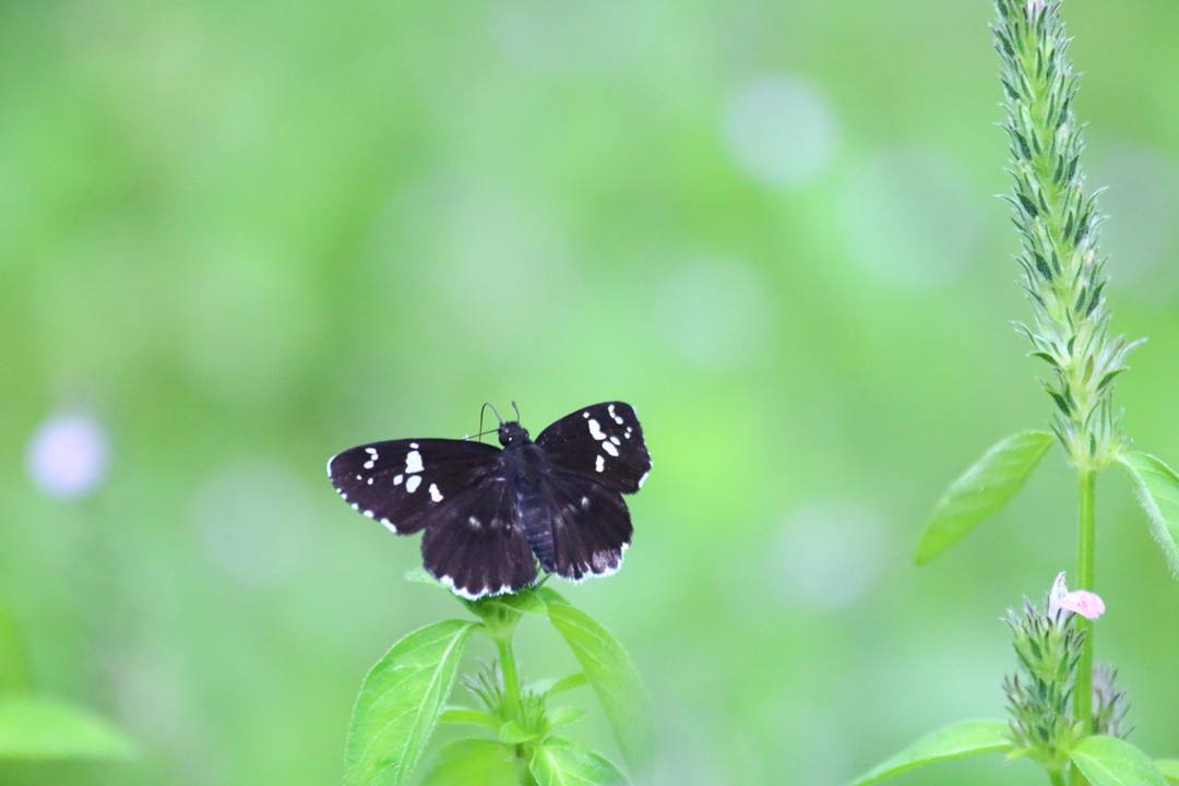 e0403850_18052077.jpg