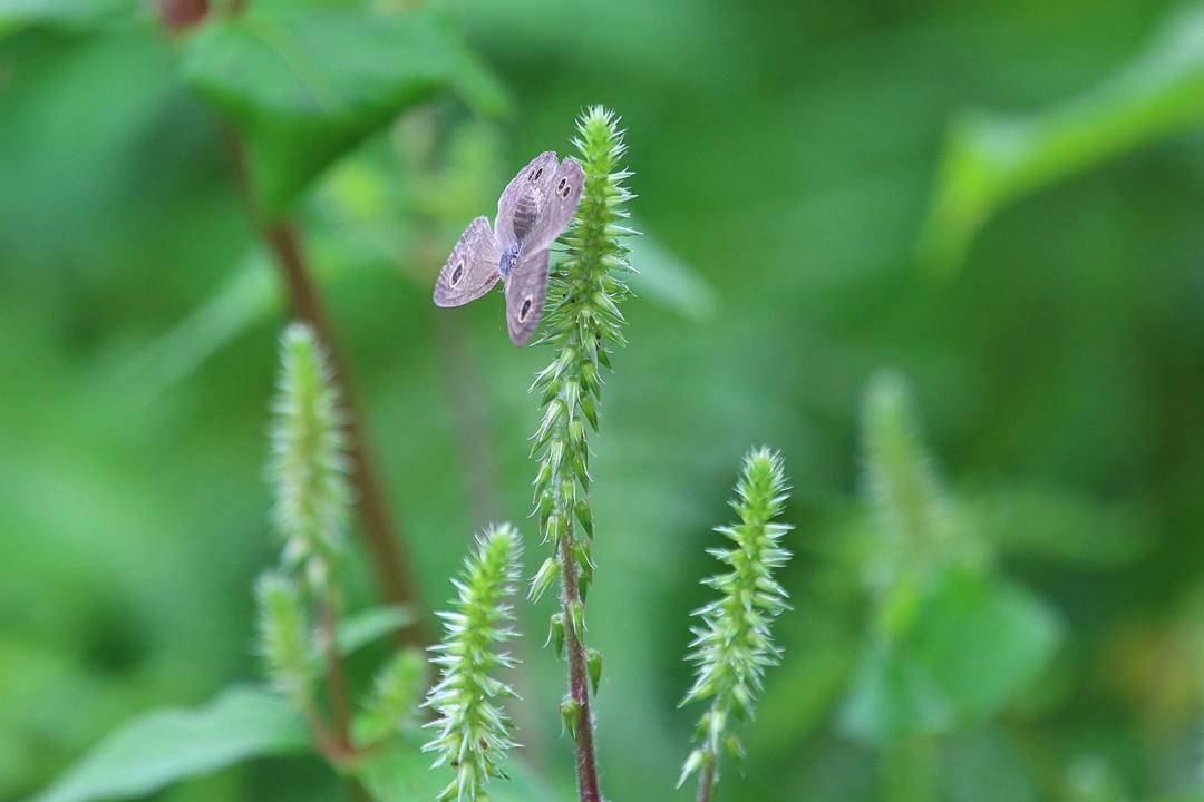 e0403850_18143541.jpg