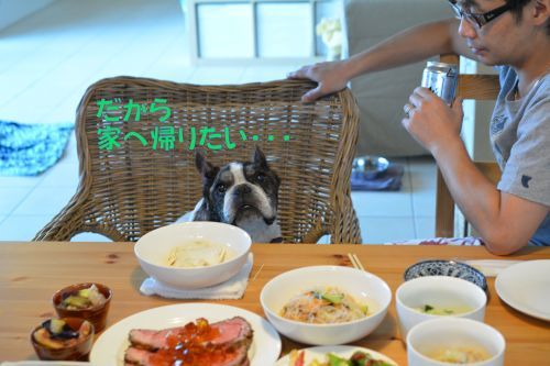 帰りたい、帰りたい、帰りたい・・・_b0307951_23390042.jpg