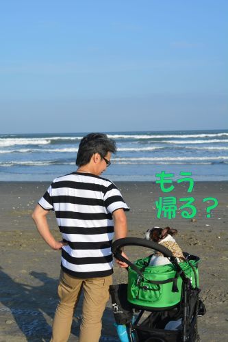 帰りたい、帰りたい、帰りたい・・・_b0307951_23393692.jpg