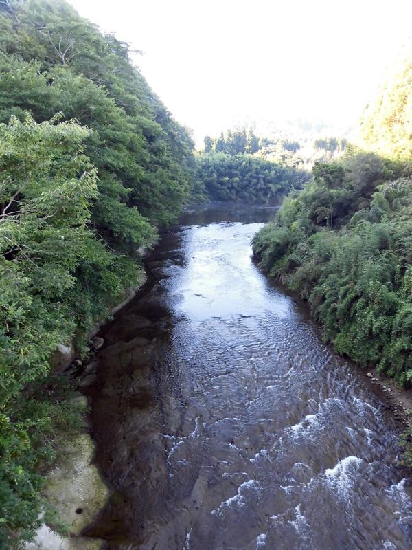 e0024554_00270846.jpg