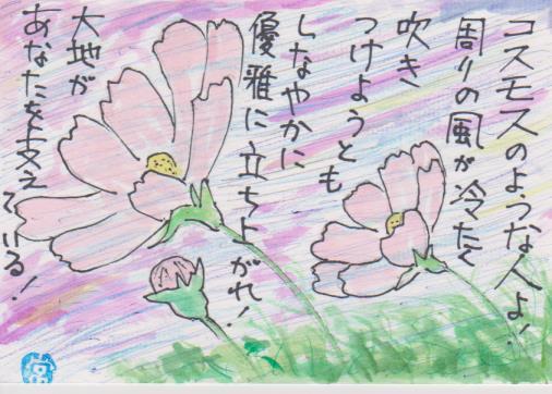 最高のイラスト画像 無料印刷可能コスモス イラスト 書き方