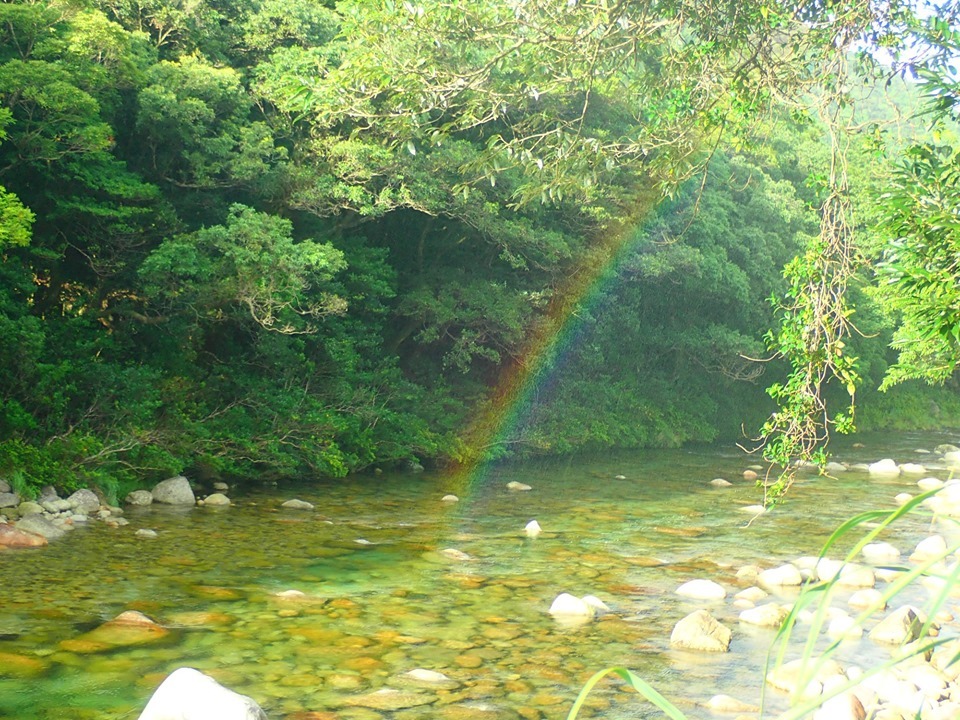 b0160957_20041542.jpg