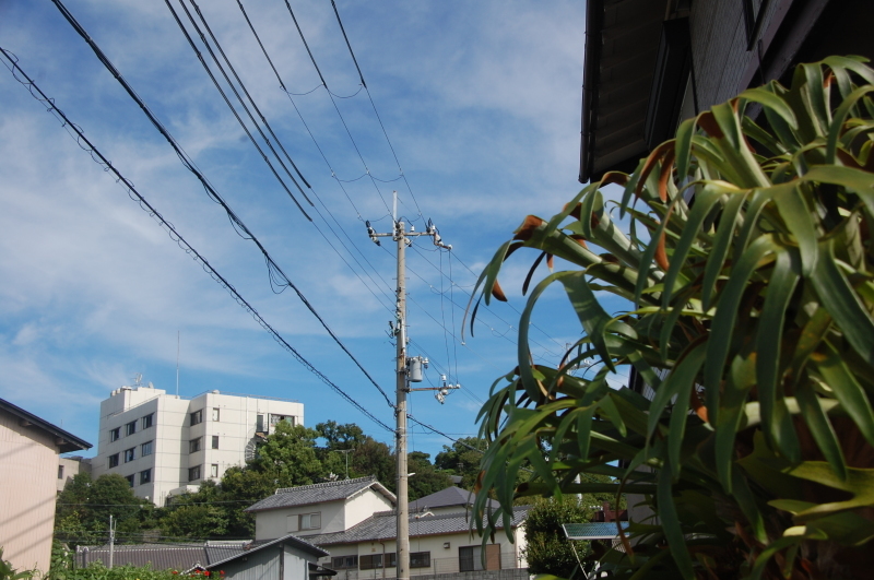 c0108460_17082067.jpg