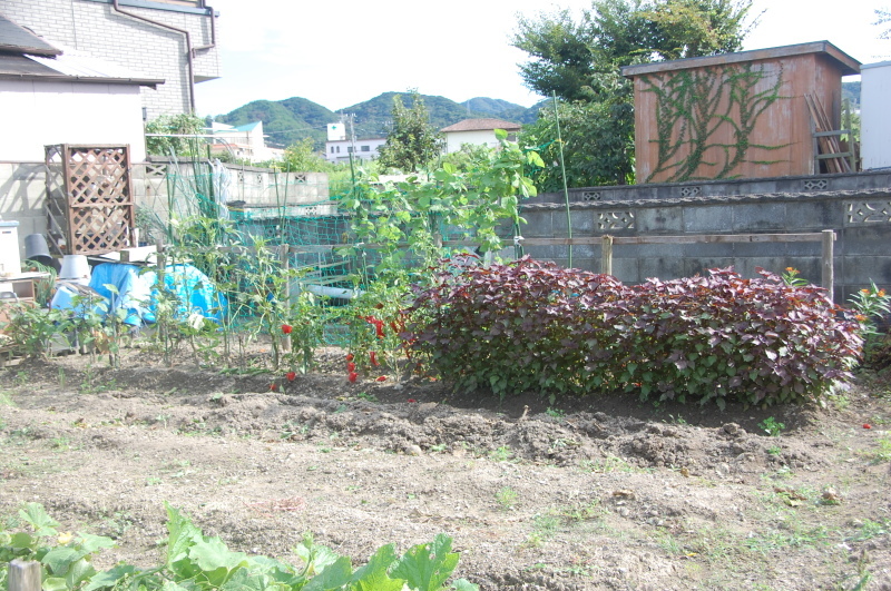c0108460_17112666.jpg