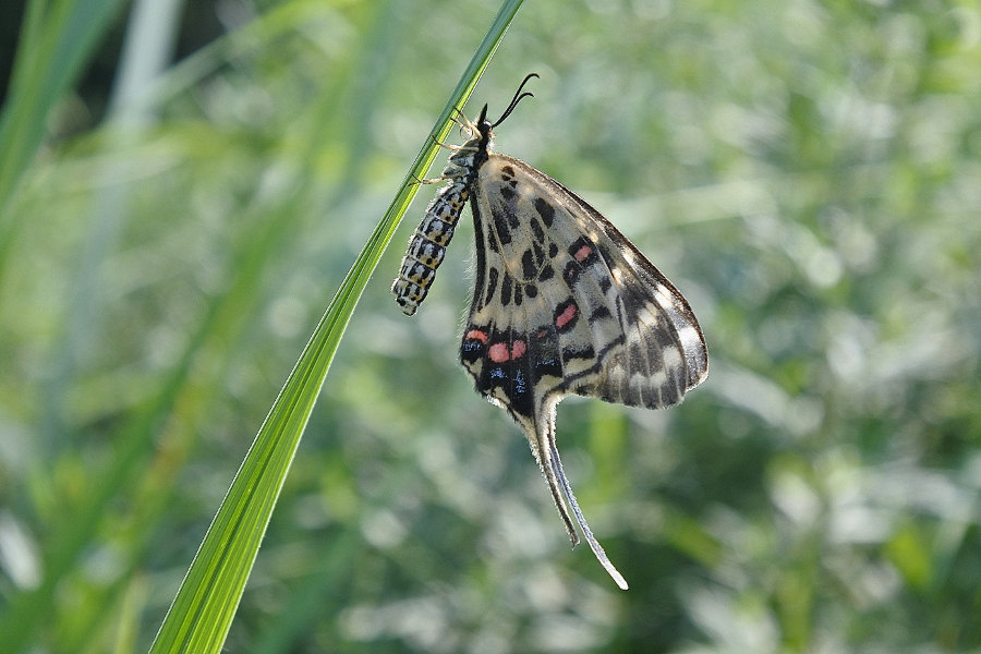 d0387460_14314750.jpg