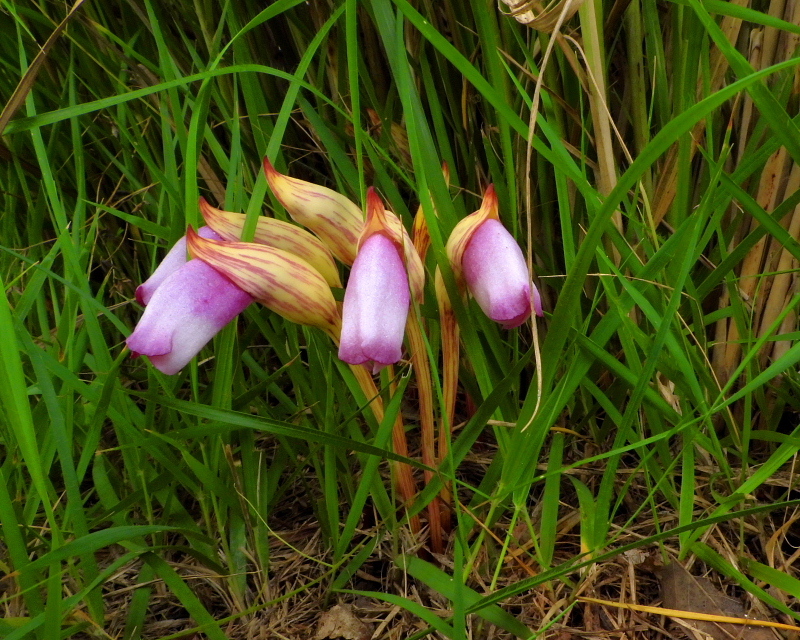 c0305565_17325189.jpg