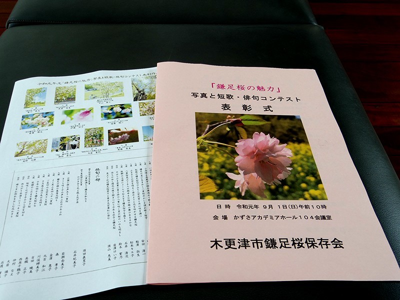 鎌足桜の魅力写真と短歌 俳句コンテスト 明日に繋ぐ今日