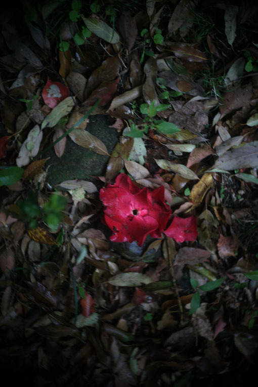 c0168172_14323240.jpg