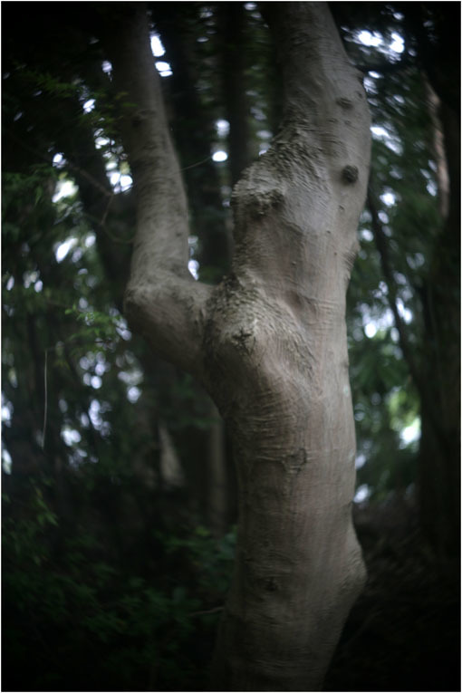 c0168172_14355585.jpg