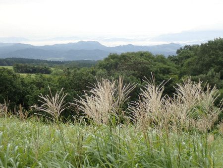 d0182075_23564949.jpg