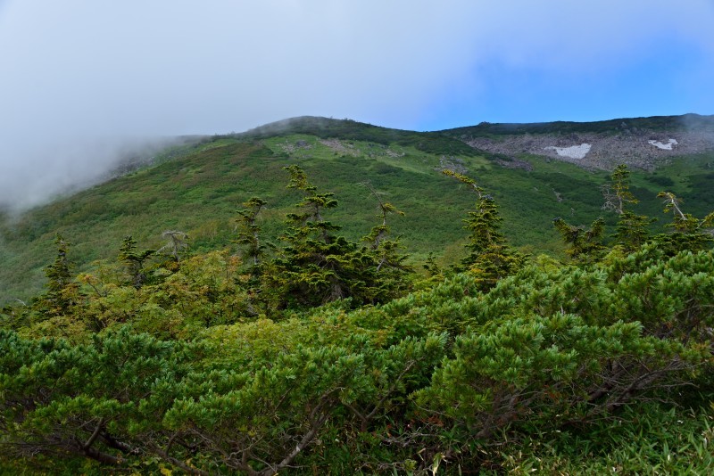 d0341880_06481414.jpg
