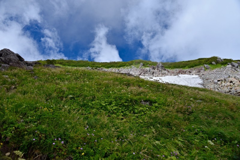 d0341880_06482169.jpg