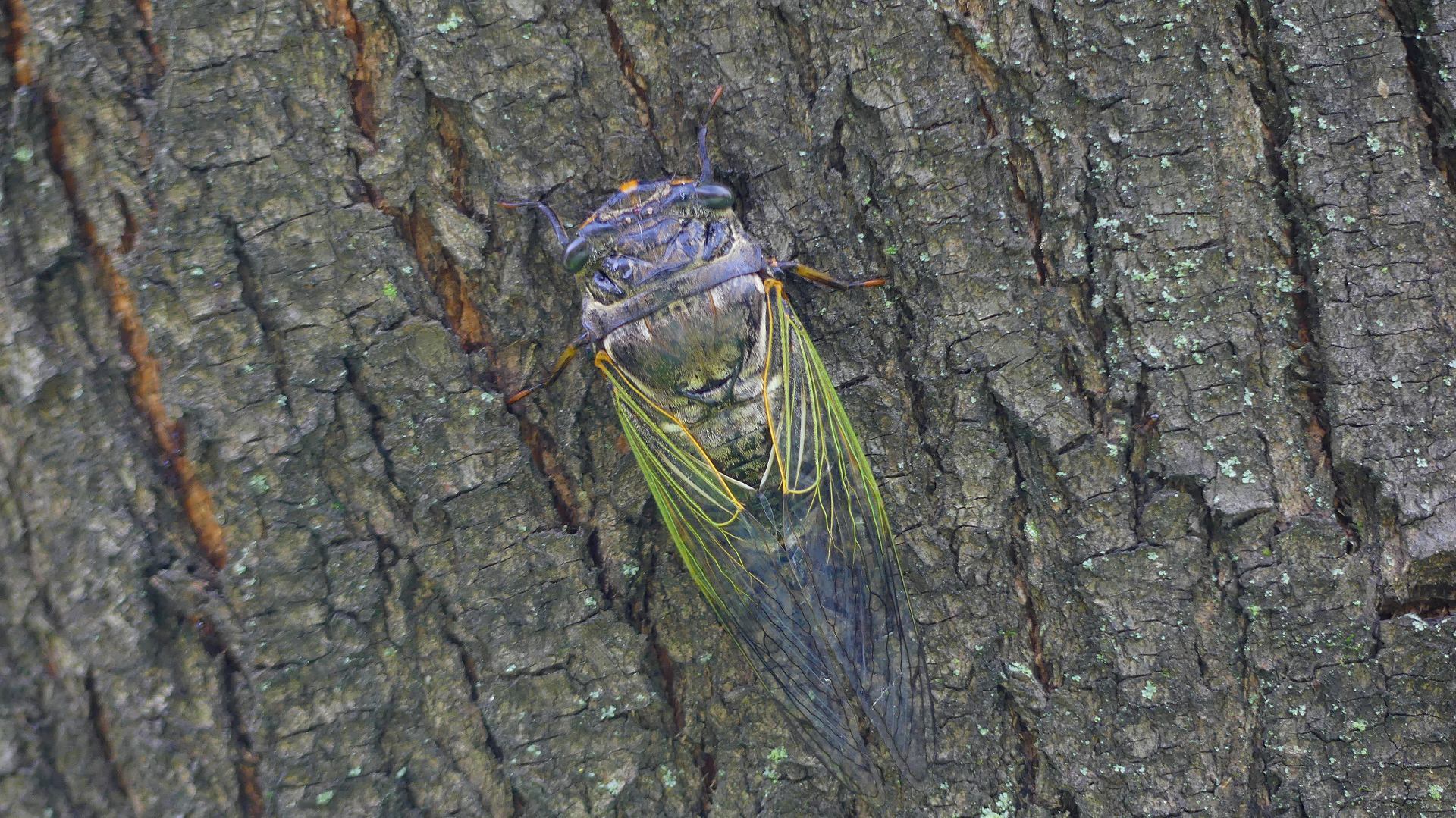 a0185081_10245163.jpg