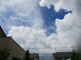 e0130185_10341017.jpg
