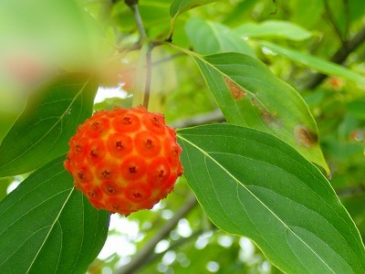 f0203094_13200762.jpg