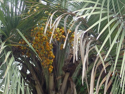 f0203094_13273079.jpg