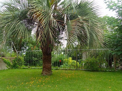f0203094_13273557.jpg