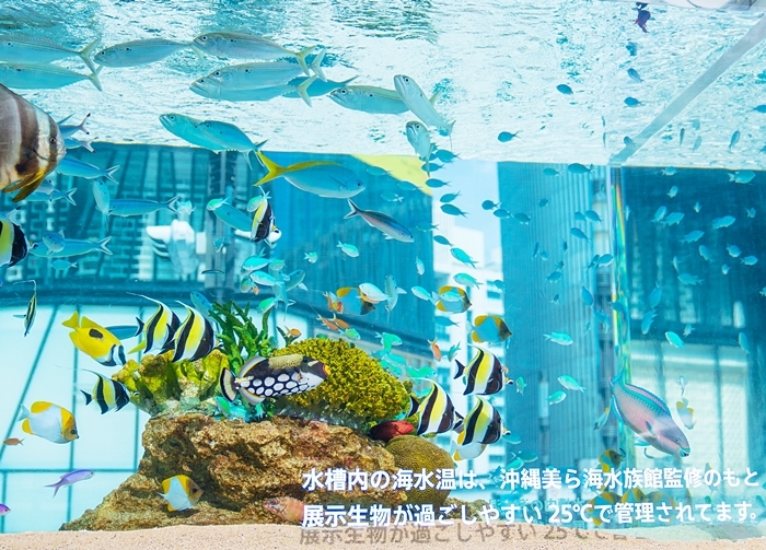 b0145398_19284098.jpg