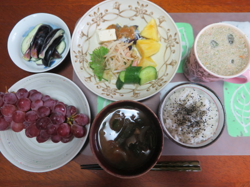 朝:サラダプレート、野菜ジュース、茄子の糠漬け 昼:大麦大豆紫蘇ヒジキ🍙&焼鳥ももタレ 夜:日清焼きそば、とうもろこし&冷奴_c0075701_20204216.jpg